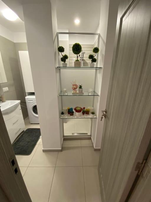 Cozy Central Apartment With 2 Rooms 부쿠레슈티 외부 사진