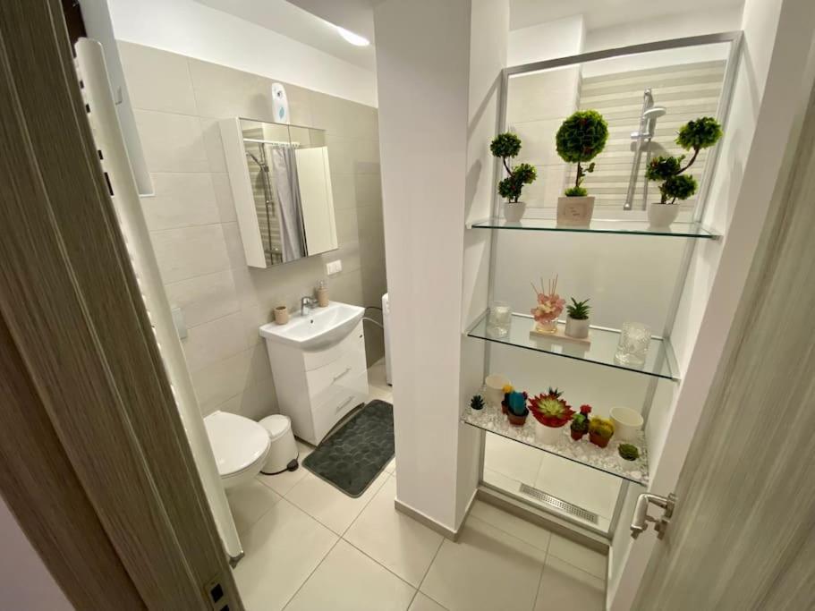 Cozy Central Apartment With 2 Rooms 부쿠레슈티 외부 사진